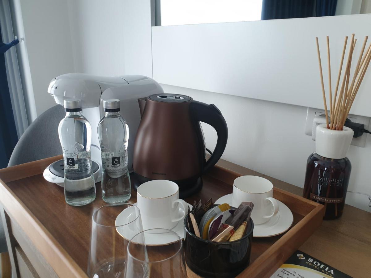 Hotel Angel Sofia Fălticeni Dış mekan fotoğraf