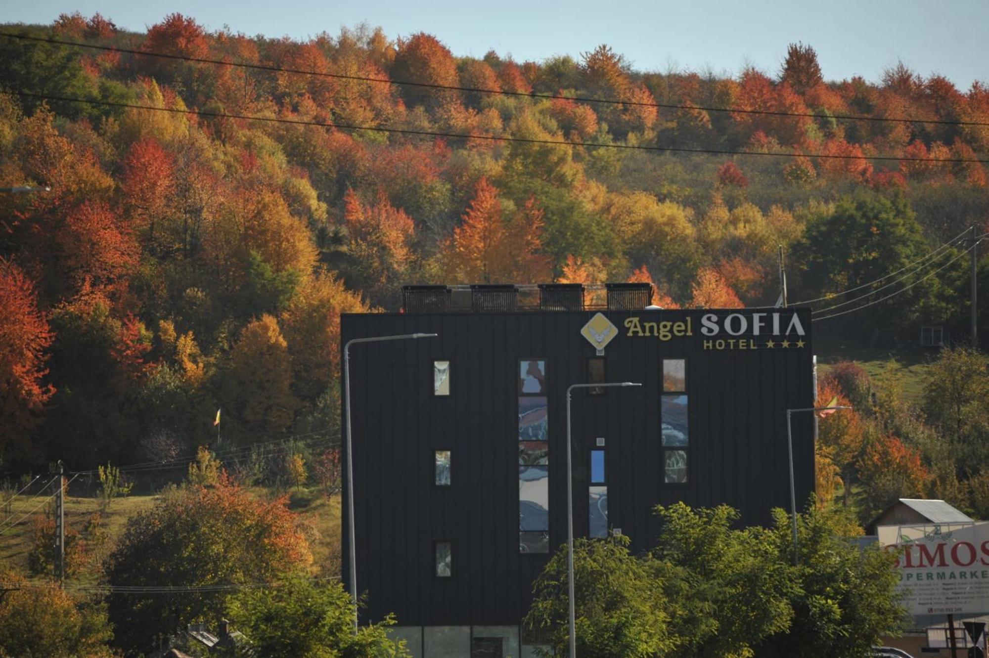 Hotel Angel Sofia Fălticeni Dış mekan fotoğraf