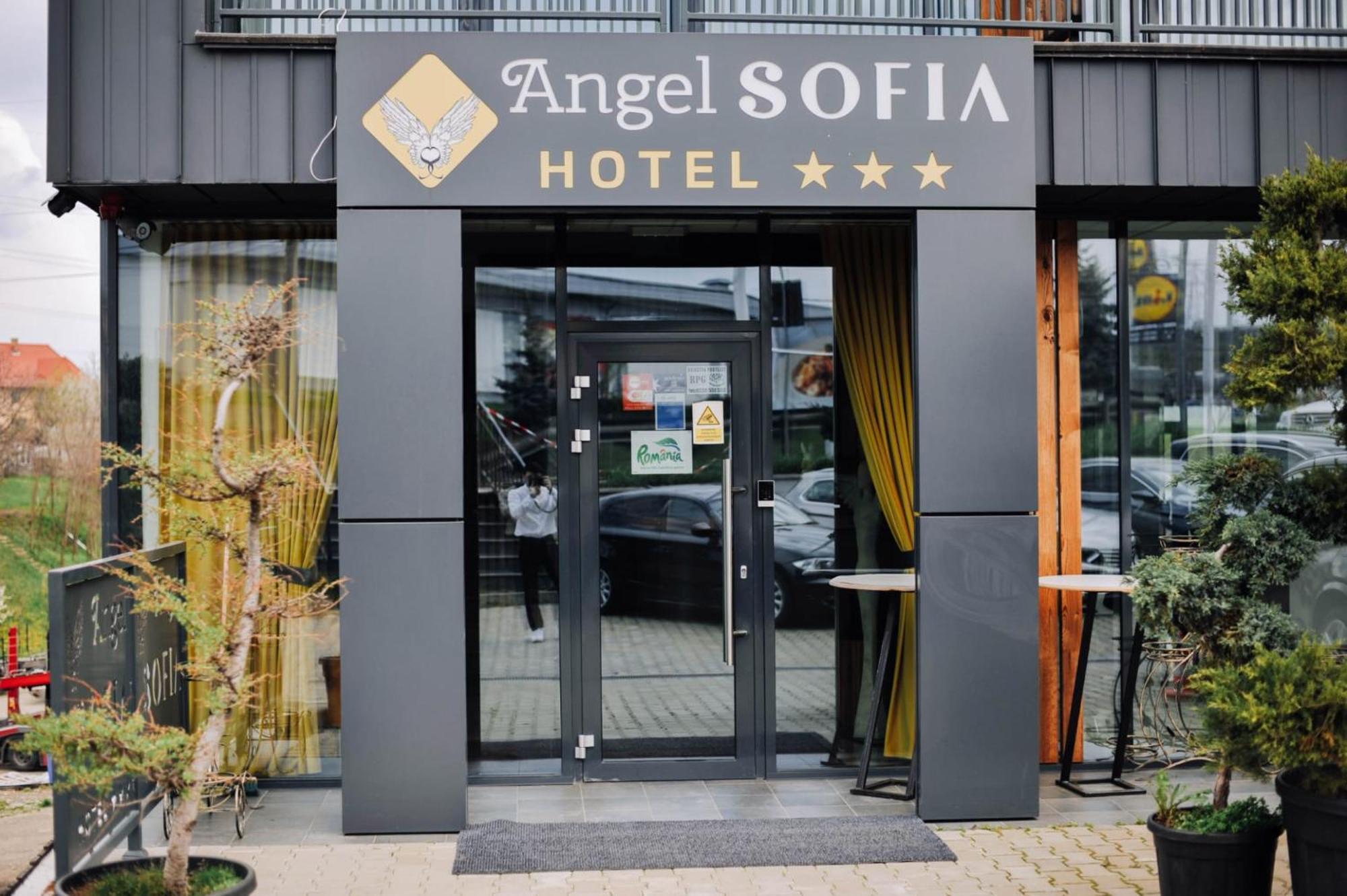 Hotel Angel Sofia Fălticeni Dış mekan fotoğraf